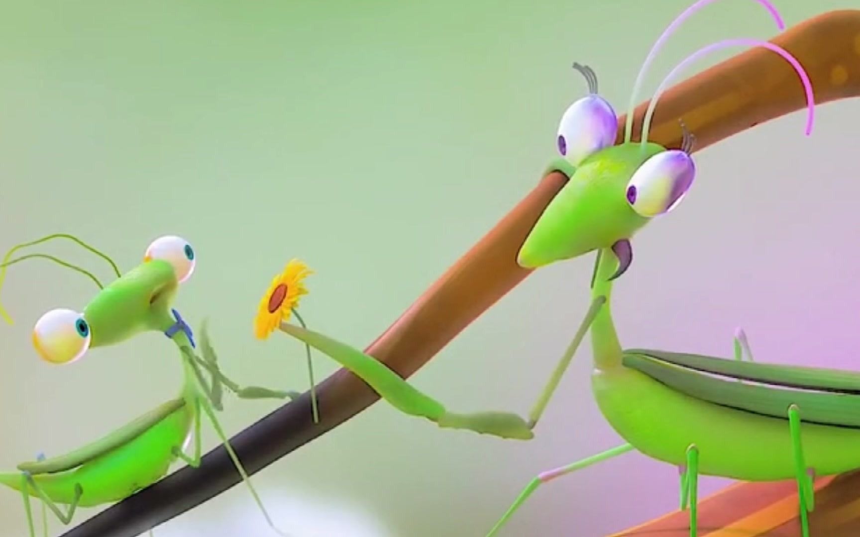 活动作品治愈系小螳螂求爱太不容易了惊险刺激