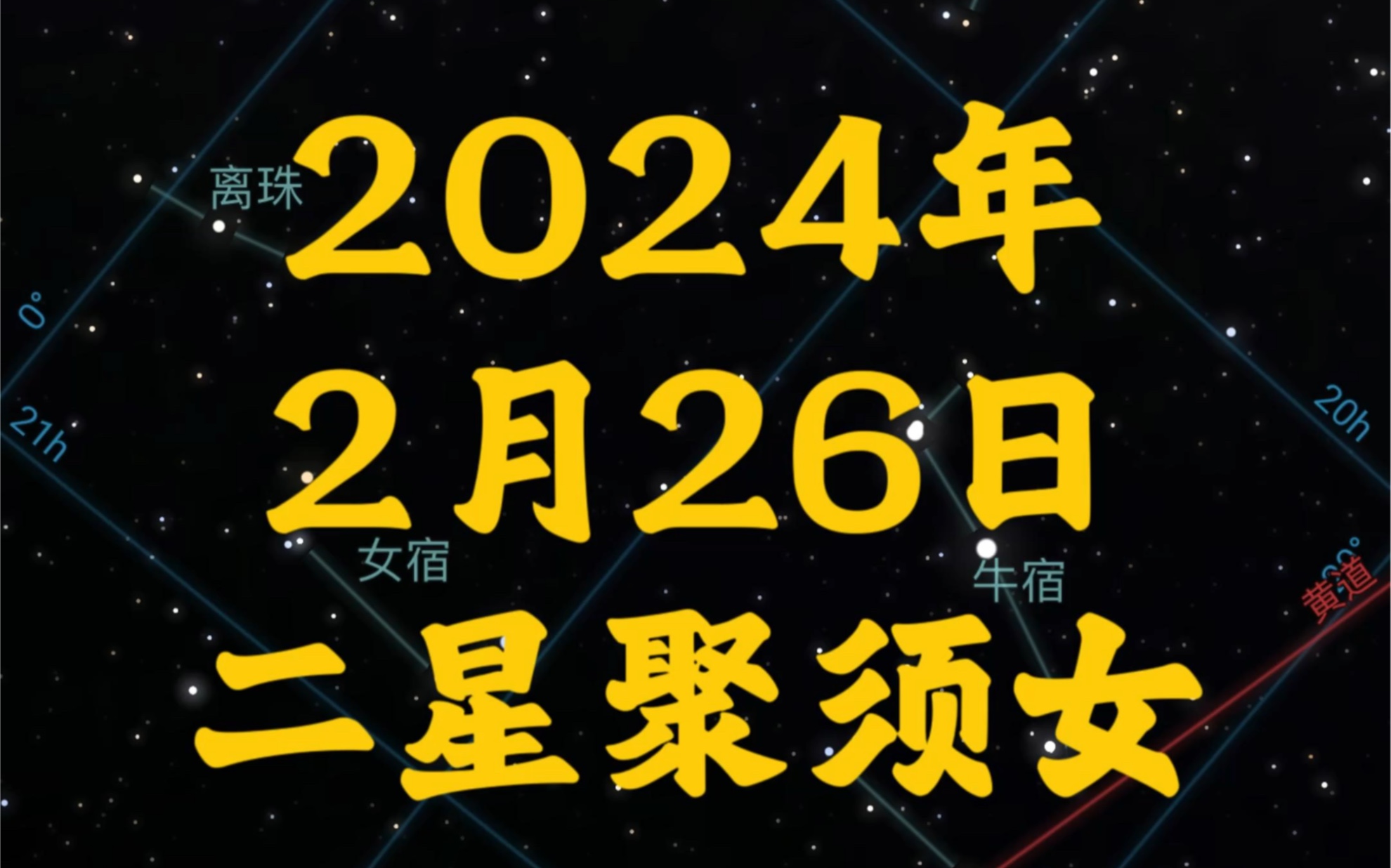 2024年2月26日二星聚须女哔哩哔哩bilibili