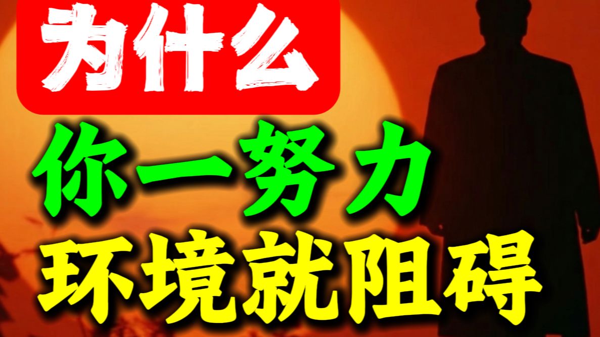 第250期 【毛选思维】为什么你一想努力环境就阻碍你❓ 毛选解读、毛选思维、读毛选、毛选智慧