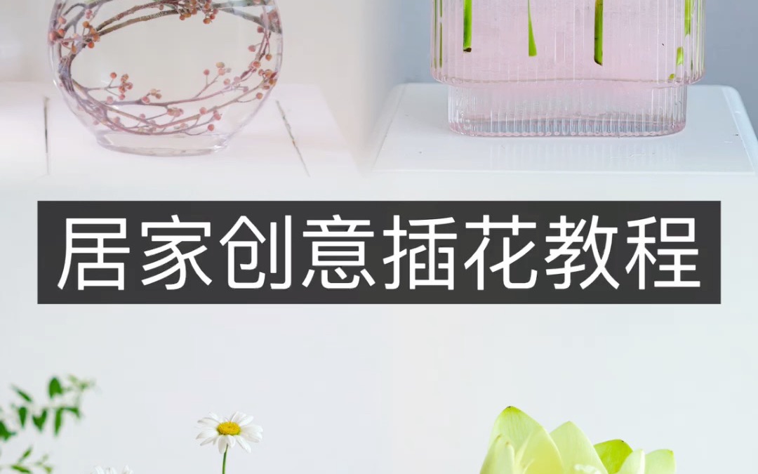 夏日居家自然清凉插花,mark一下|花艺教程【原创视频,禁止盗用】哔哩哔哩bilibili