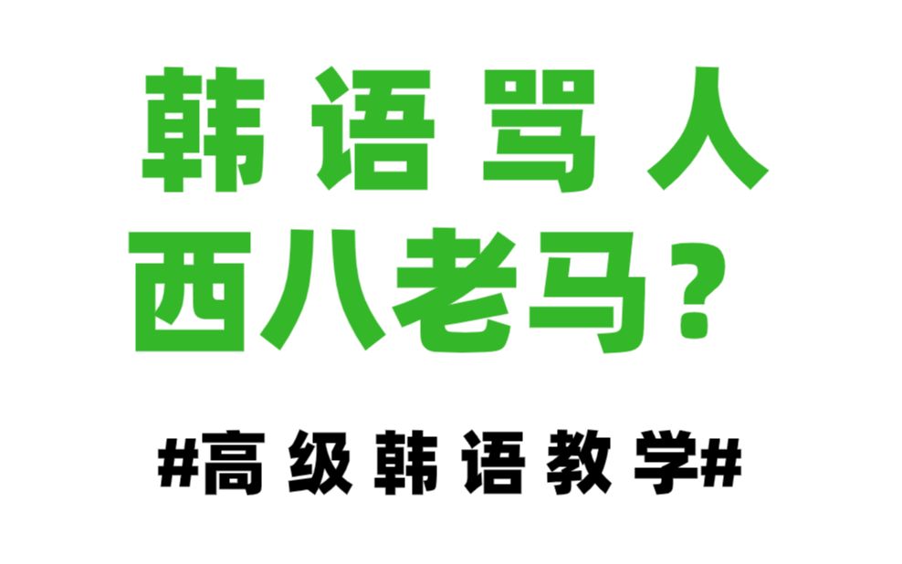 学韩语先从骂人开始,西八老马?好孩子千万不要乱用!哔哩哔哩bilibili