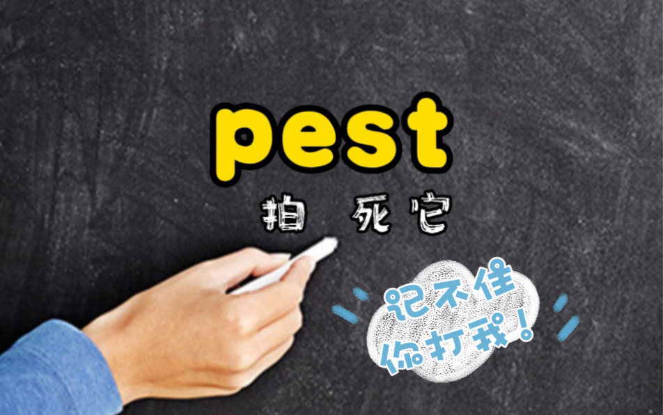 挑战十秒记单词 今日词汇:pest 害虫,拍死它哔哩哔哩bilibili