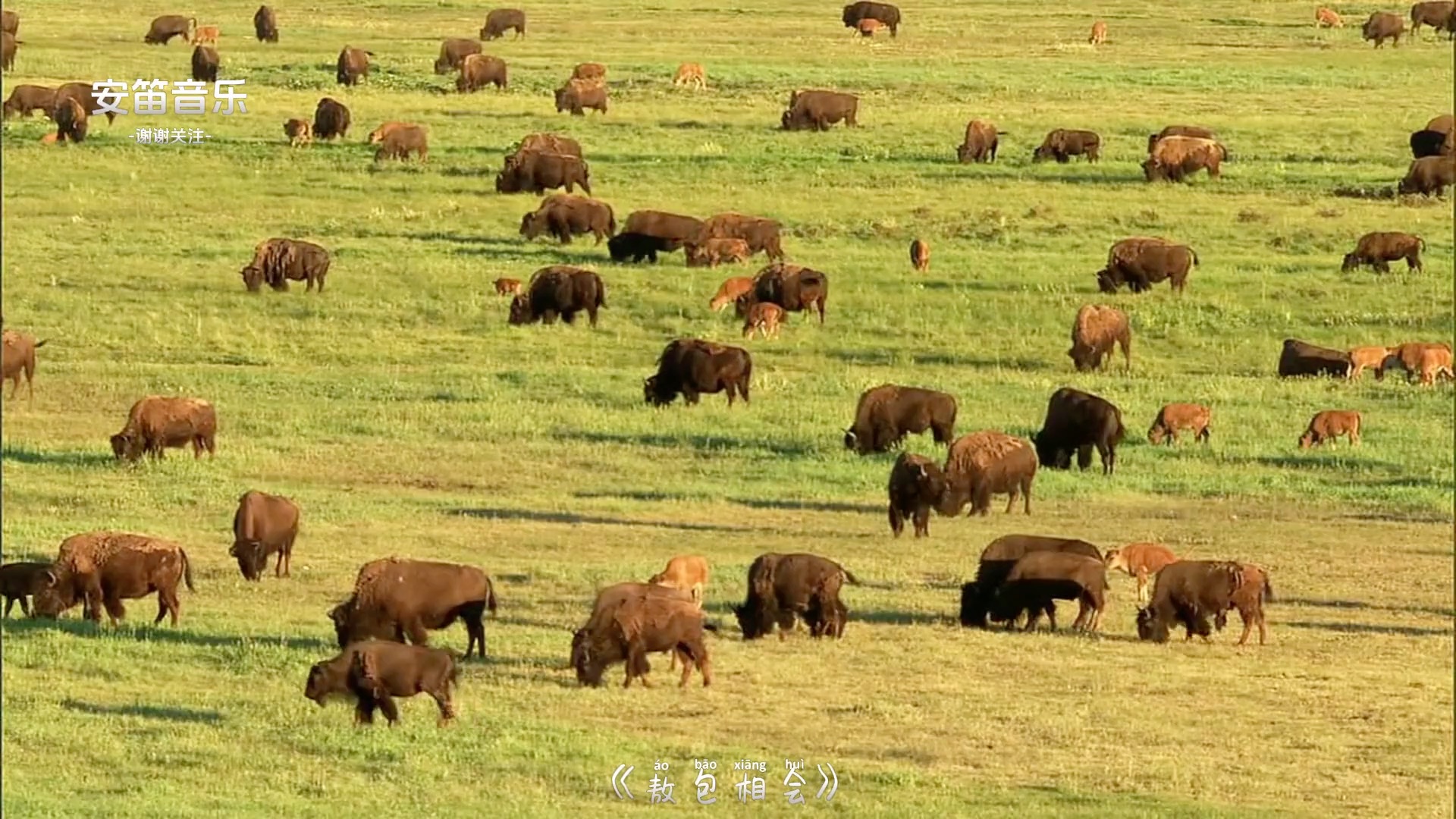 [图]马头琴名曲十二首 悠扬的马头琴声让人如痴如醉 能让人忘掉烦恼