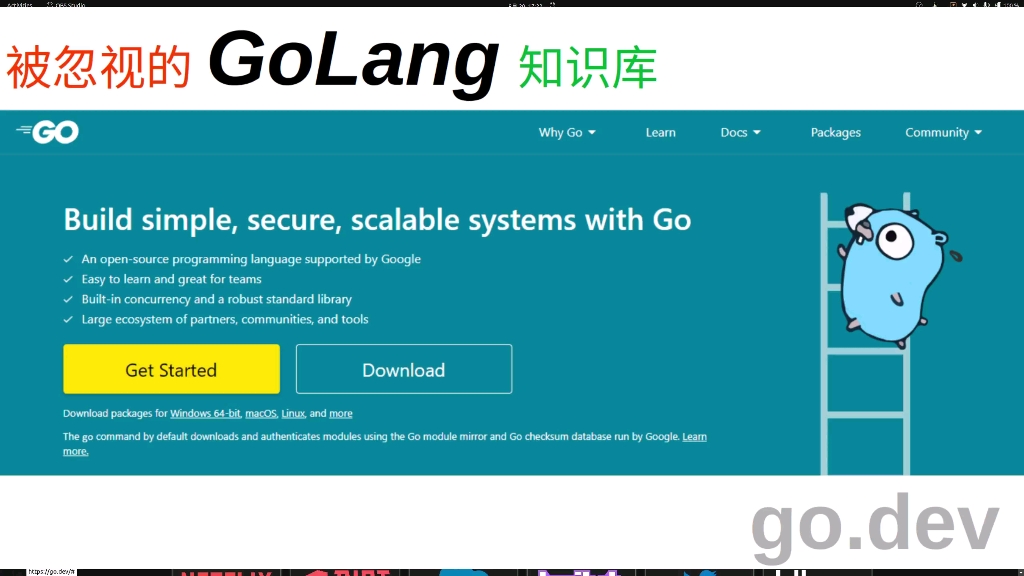 GoLang宝藏知识库:https://go.dev哔哩哔哩bilibili