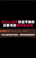 Tải video: 对方推开你还与你联系，真实想法是什么