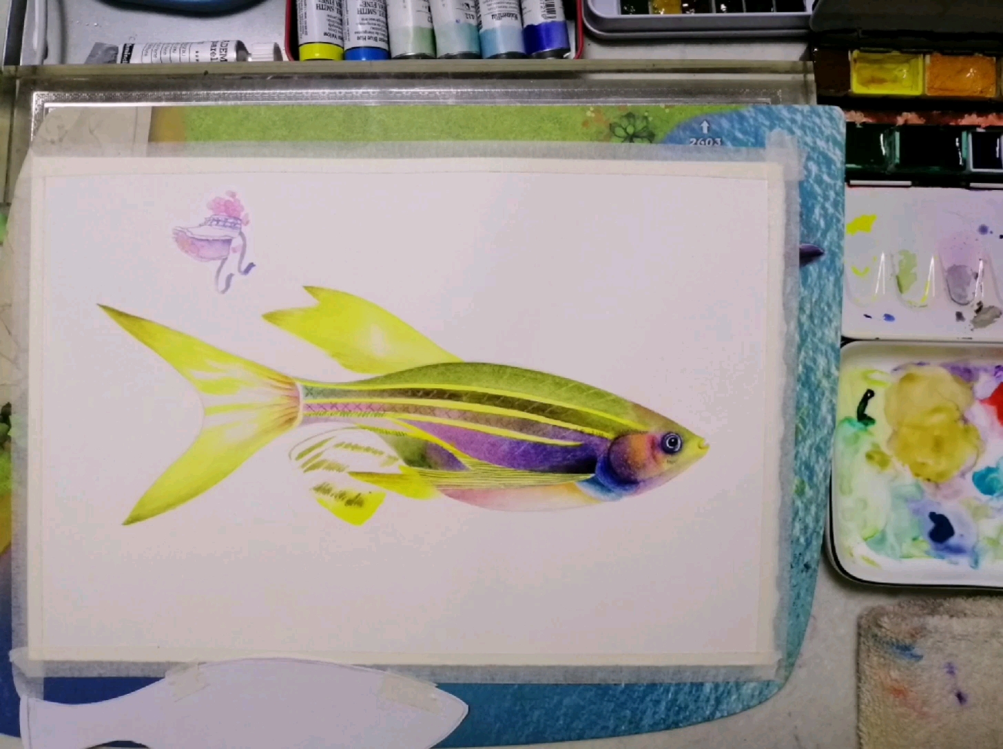 手绘水彩画一条水彩虹带斑马鱼