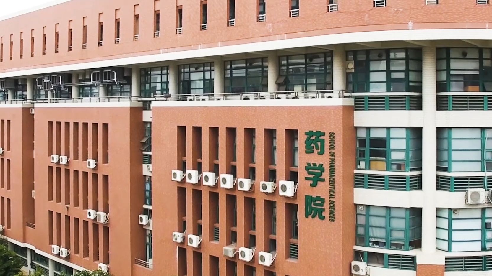 广东药科大学 中山图片