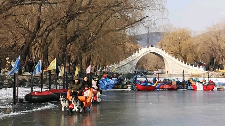 2019年冬天颐和园溜冰场的二哈车哔哩哔哩bilibili