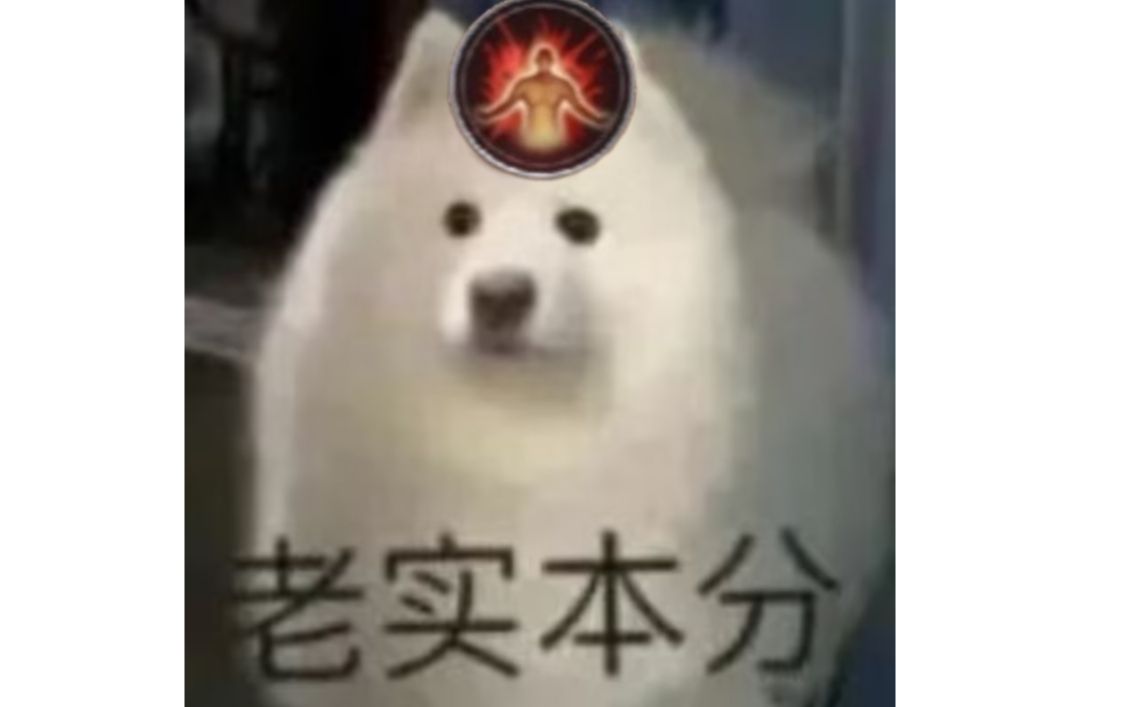 【落叶听松】20231104天策散排竞技场 吃鸡