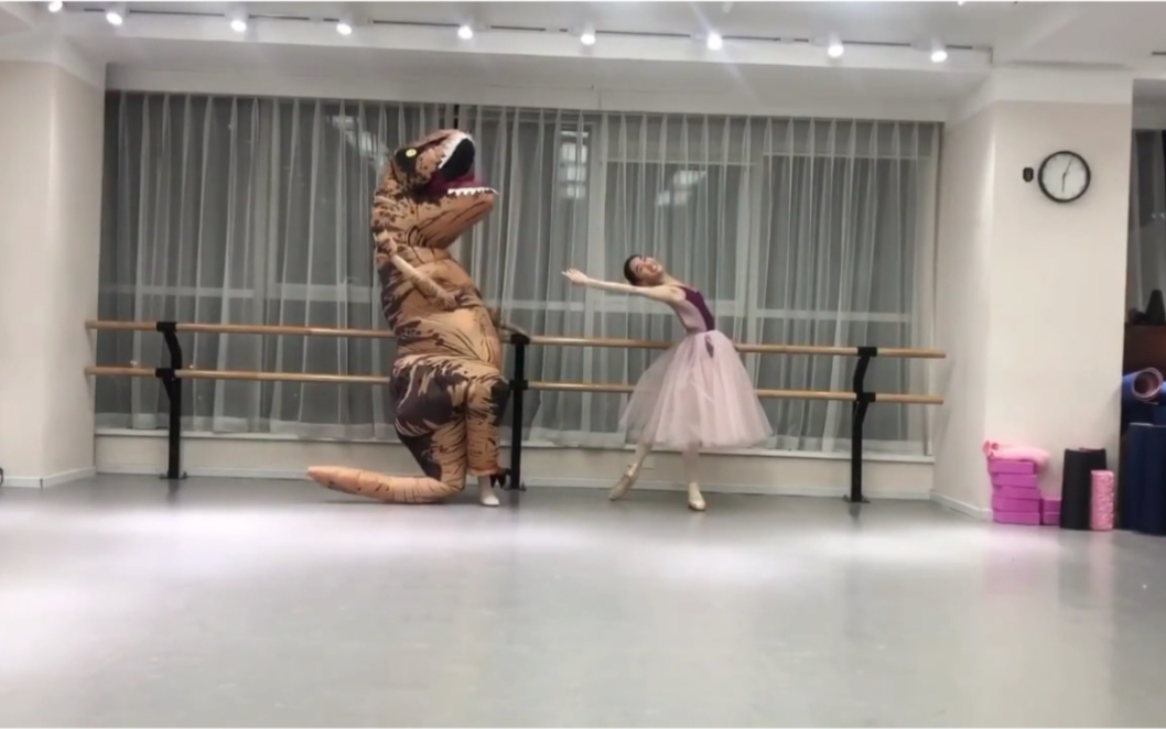 第一次教一只恐龙跳芭蕾_哔哩哔哩 (゜-゜)つロ 干杯~-bilibili