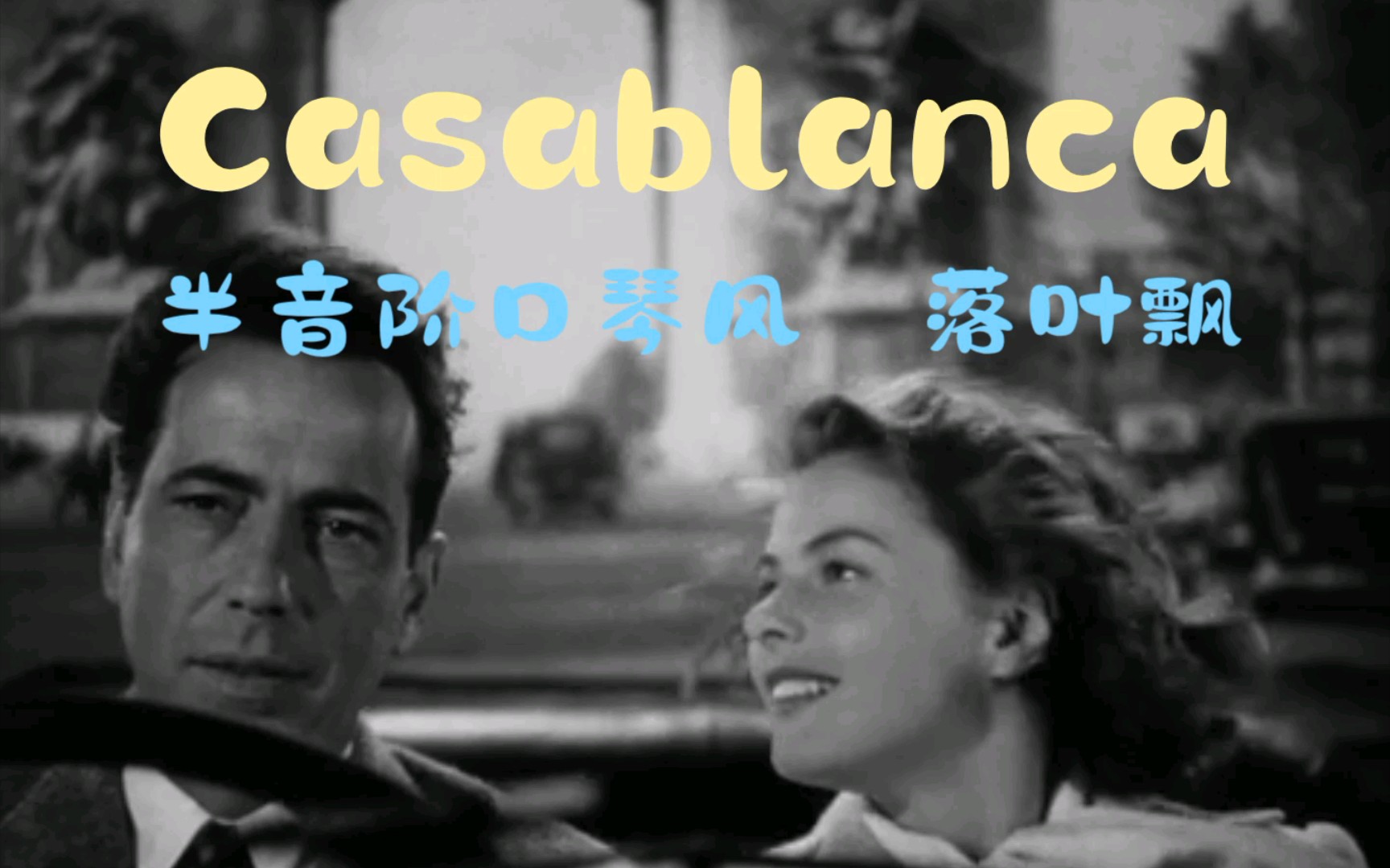 [图]卡萨布兰卡(Casablanca)口琴风 S-64半音阶口琴