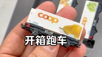 下载视频: 开箱N比例瑞士RhB冷藏coop货运模型 feat 北京京丰长崇火车模型俱乐部 魔力松子