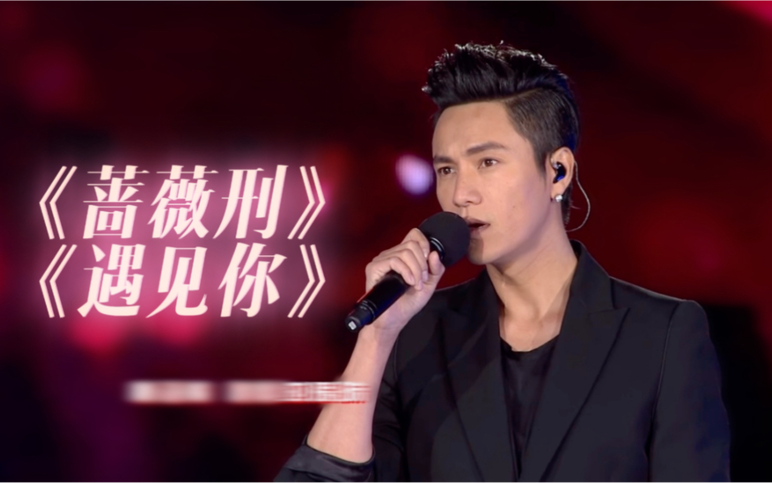 陈坤那些年的音乐舞台蔷薇刑遇见你高清版20131231广东卫视跨年演唱会