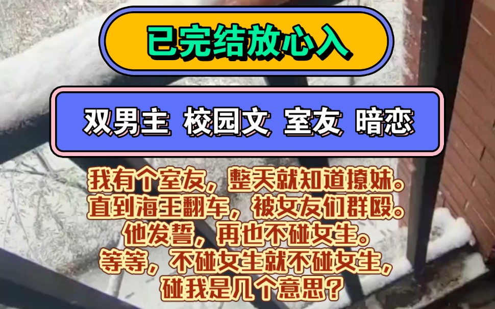 《攻略舍友》双男主 暗恋 校园文 室友 | 我有个室友整天就知道撩妹直到海王翻车被女友们群殴他发誓,再也不碰女生.等等,不碰女生就不碰女生,碰我是...