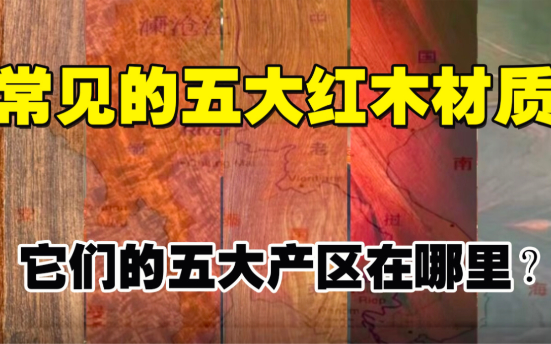 常见的5大国标红木材质,和它们的五大产区都在哪里?哪些产地的料更好?哔哩哔哩bilibili