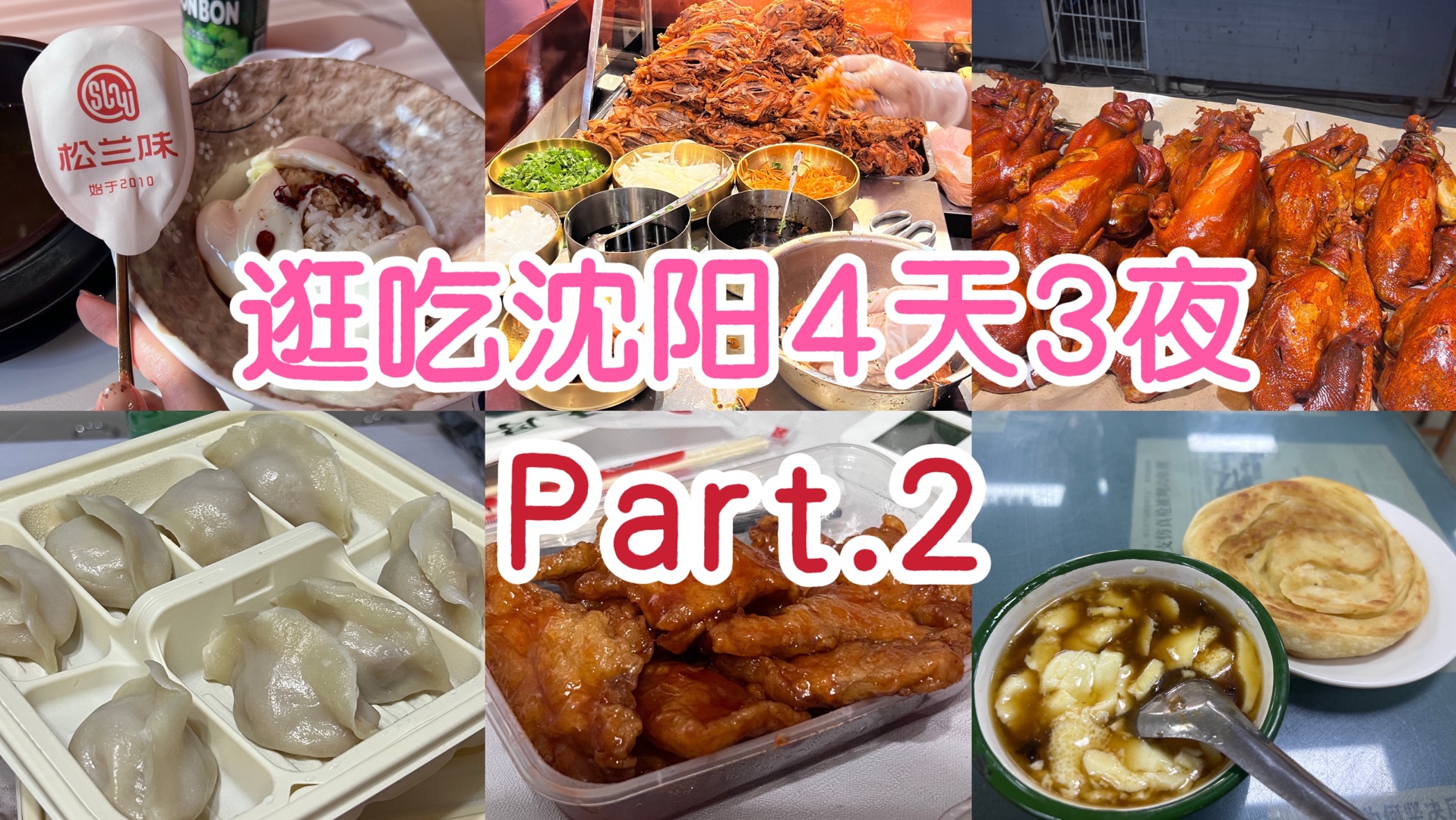 沈阳逛吃Part.2!小河沿早市!西塔!大东副食沟帮子烧鸡!东北泥炉烤肉!王厚元饺子!番茄锅包肉!太阳谷洗浴!松兰味老式拌饭!没吃够下次还去!!...