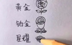 Download Video: 【爱上简笔画】玫瑰花的几种简单画法。你在哪个段位？