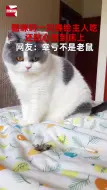 Download Video: 猫咪叼一只蝉给主人吃，还贴心放到床上，网友：幸亏不是老鼠