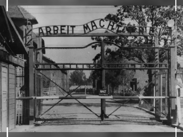 世人亟需一场对"奥斯维辛集中营"的反思.