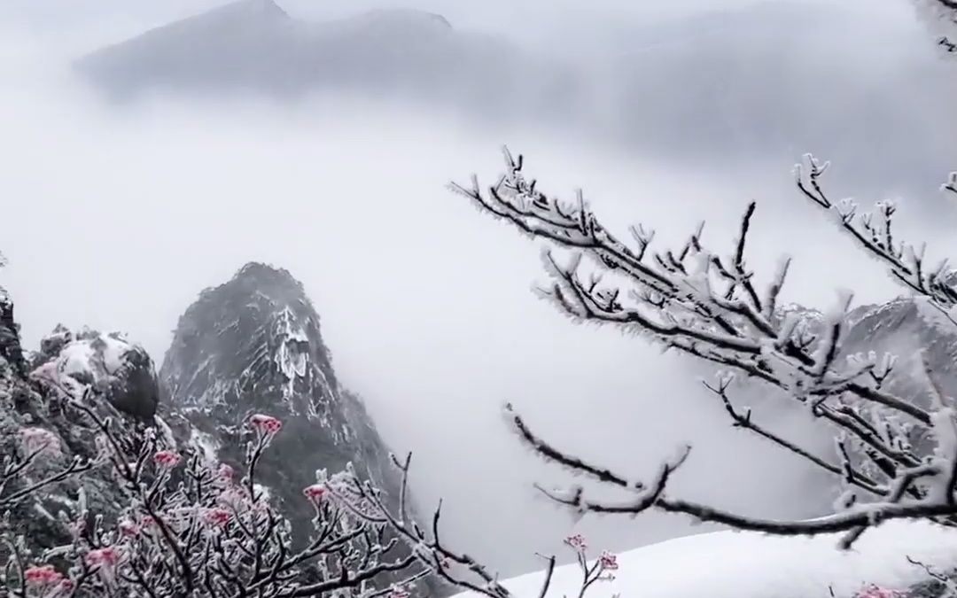 黄山也下雪了哔哩哔哩bilibili