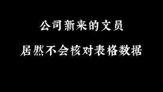 公司新来的文员居然不会核对表格数据
