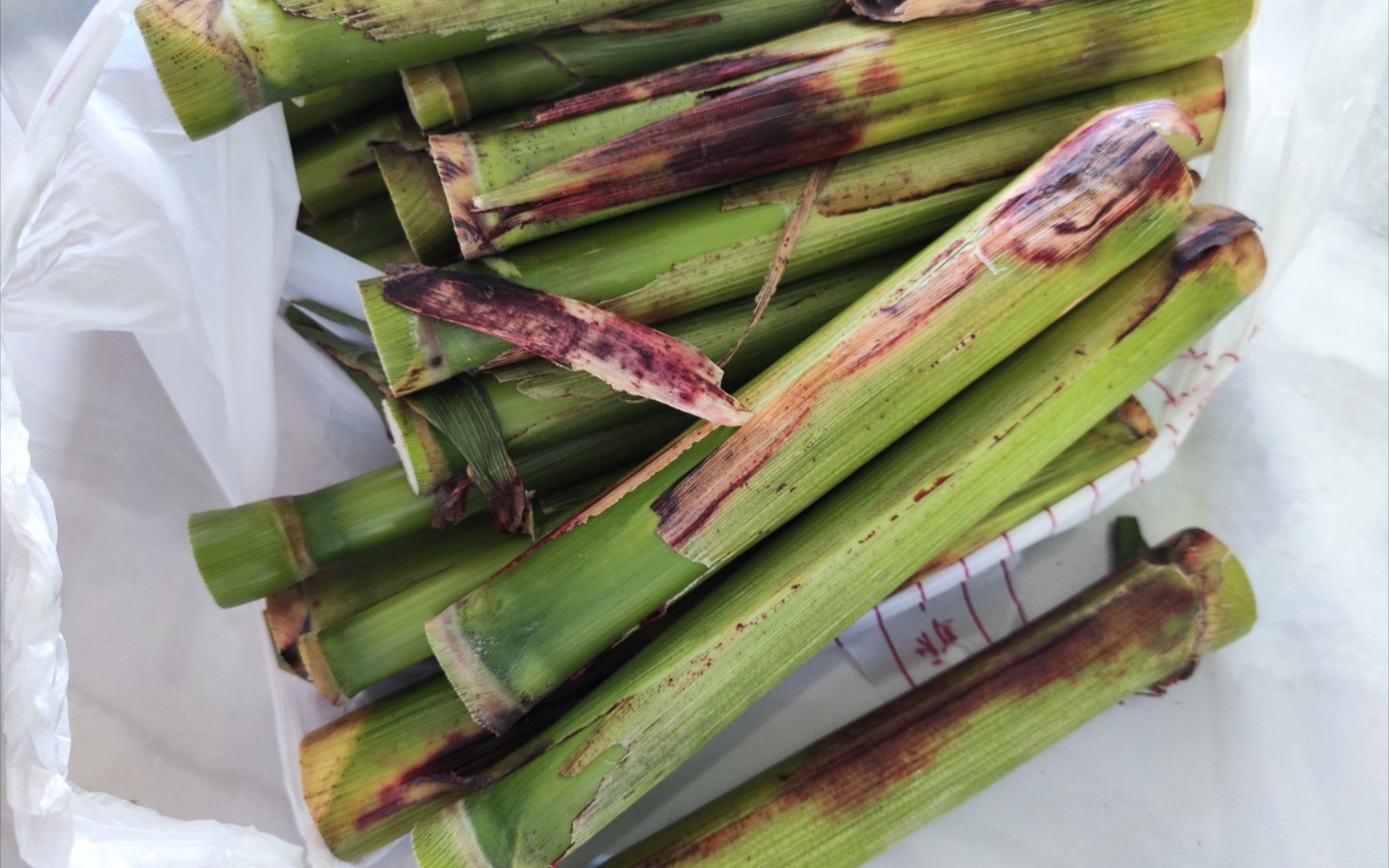 小时候家里吃不完 我们这浦东叫甜芦粟 你们那里怎么叫