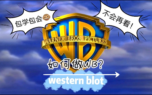 如何快速掌握WB?小白入门看一看!western blot入门详细教程哔哩哔哩bilibili