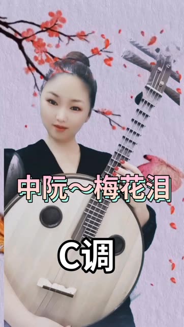 中阮～梅花泪送给朋友们!