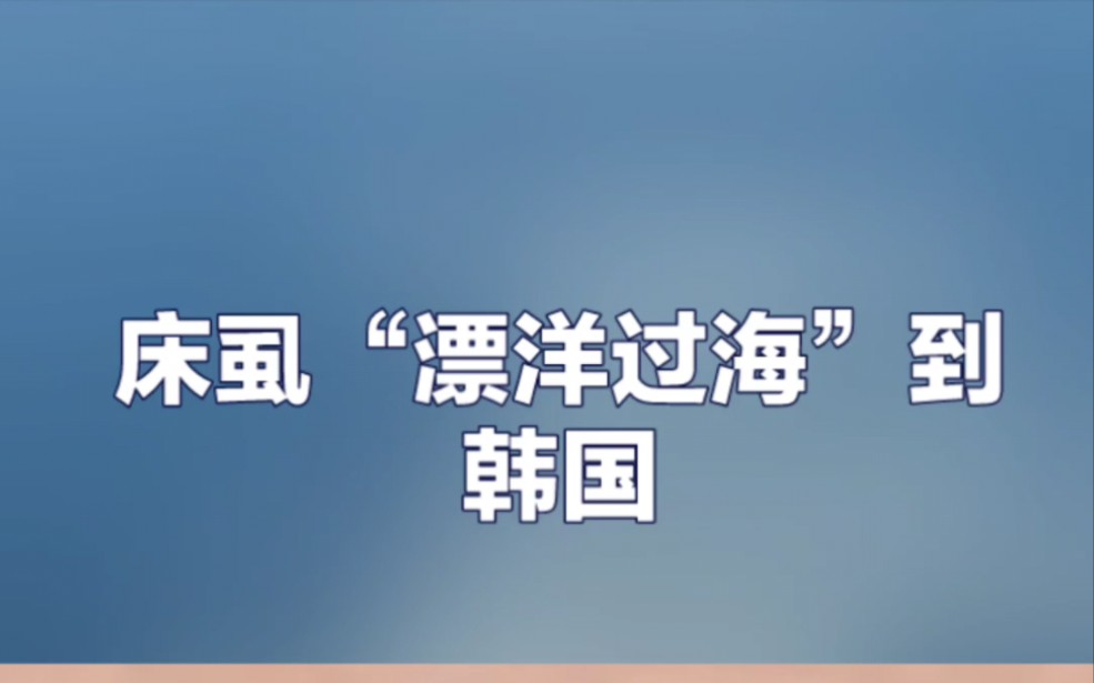 [图]多国爆发床虱危机，已蔓延至亚洲