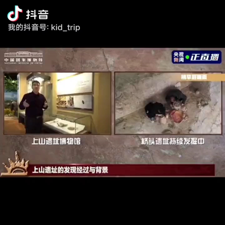 大米的起源在中国!稻香飘过万年~上山文化水稻溯源. #自然 #科普 #研学 #农业哔哩哔哩bilibili