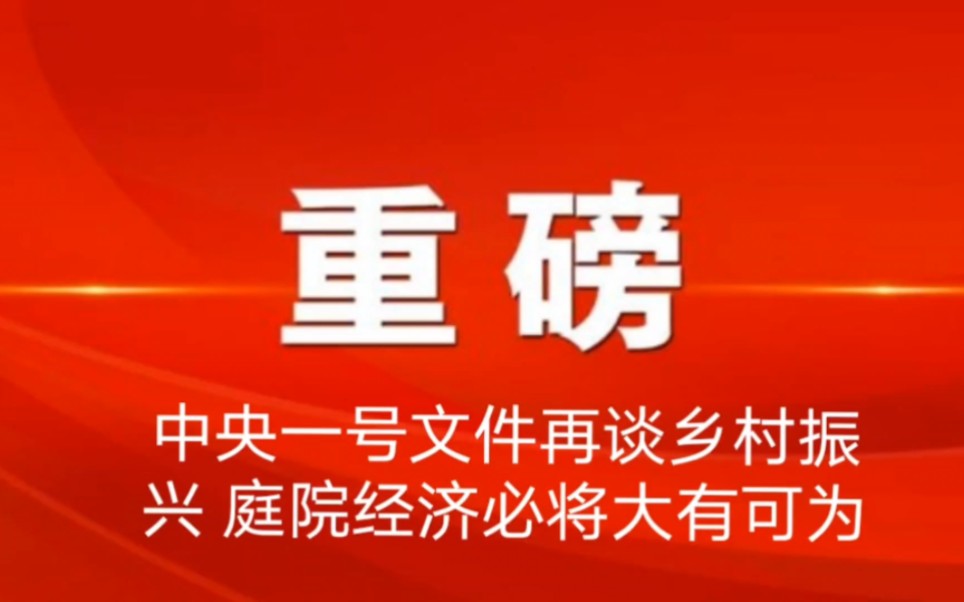 中央一号文件再谈乡村振兴,庭院经济必将大有可为.哔哩哔哩bilibili