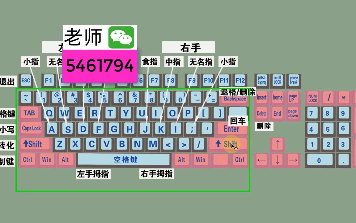 零基础快速学拼音学五笔打字教程,键盘打字快速入门