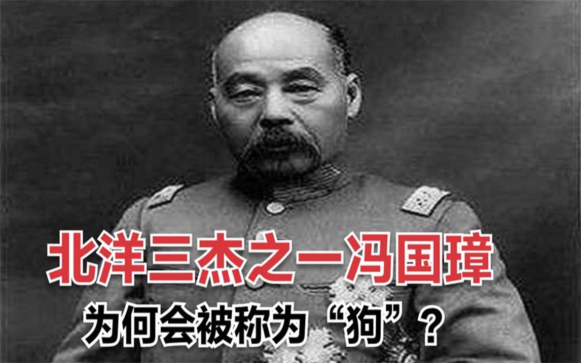 冯国璋为何被称为“冯狗”?曾是大总统的他,竟穷到靠卖鱼赚钱!哔哩哔哩bilibili