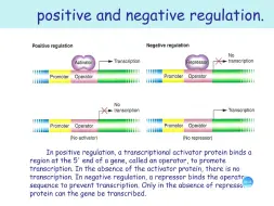 Download Video: 【生物化学】《细胞代谢和基因表达调节》Exhaustive版！（7）