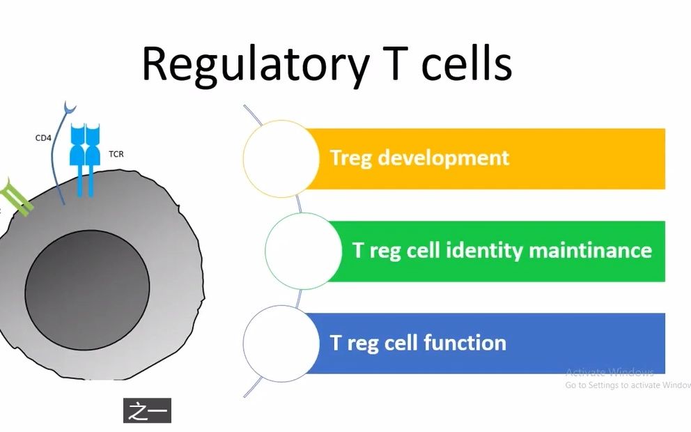 Treg细胞哔哩哔哩bilibili