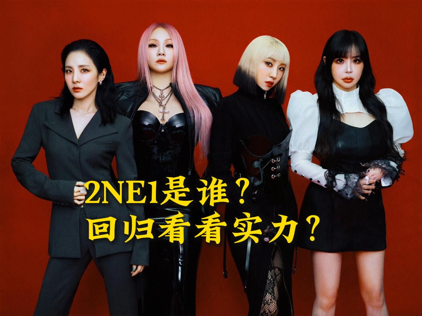 2NE1我最红图片