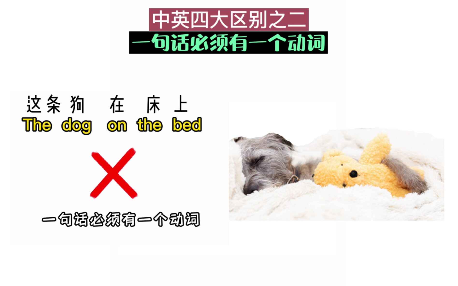 “这条狗在床上”是“the dog on the bed”?哔哩哔哩bilibili