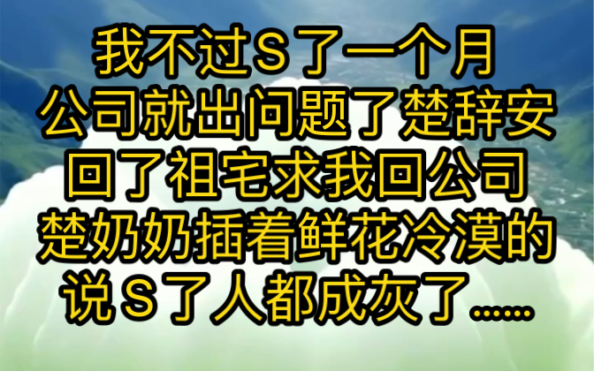 我不过S了一个月,公司就出问题了 楚辞安回了祖宅,求我回公司 楚奶奶插着鲜花,冷漠的说 : “S了,人都成灰了…哔哩哔哩bilibili