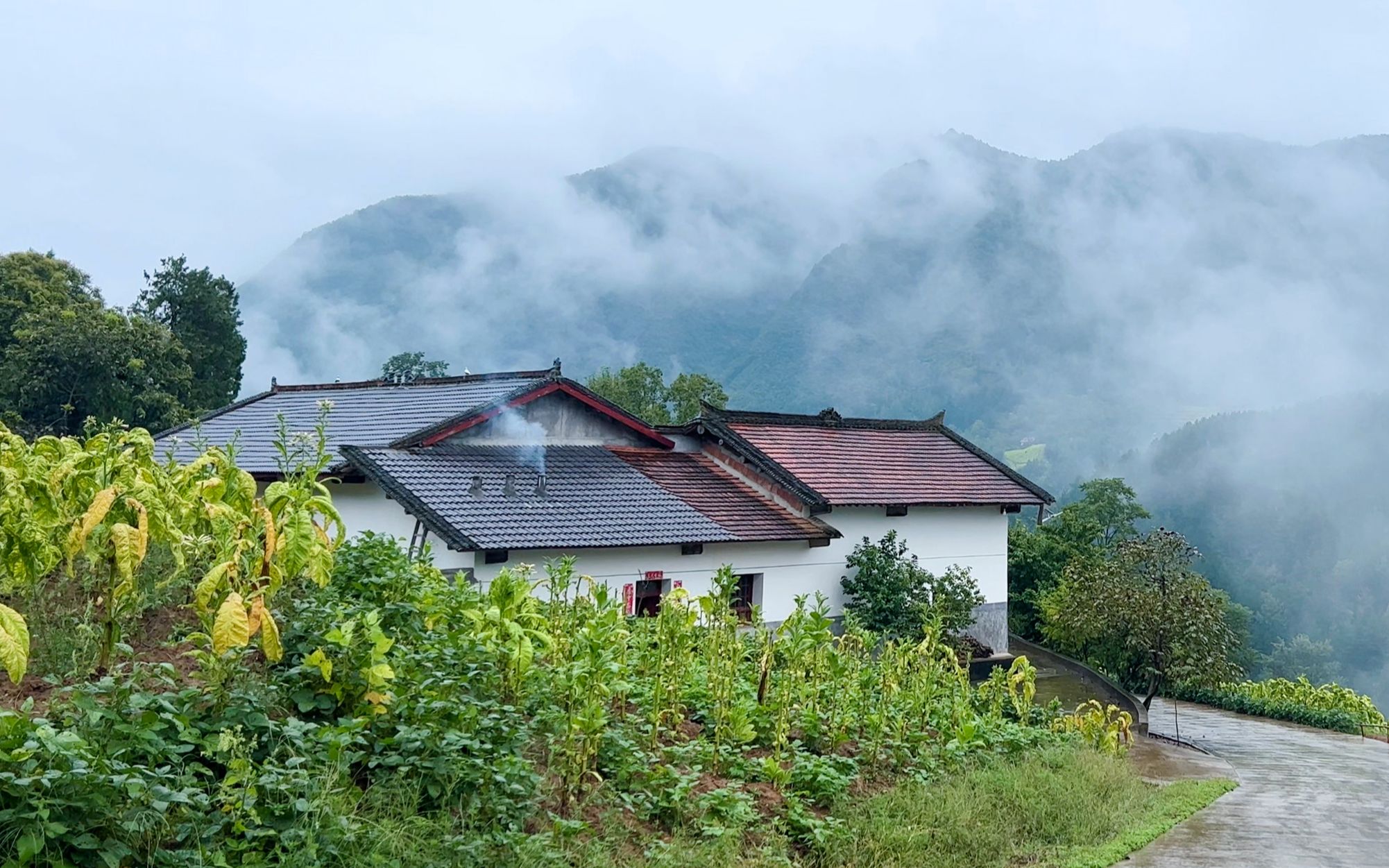 [图]秦岭南麓小山村，连绵的秋雨