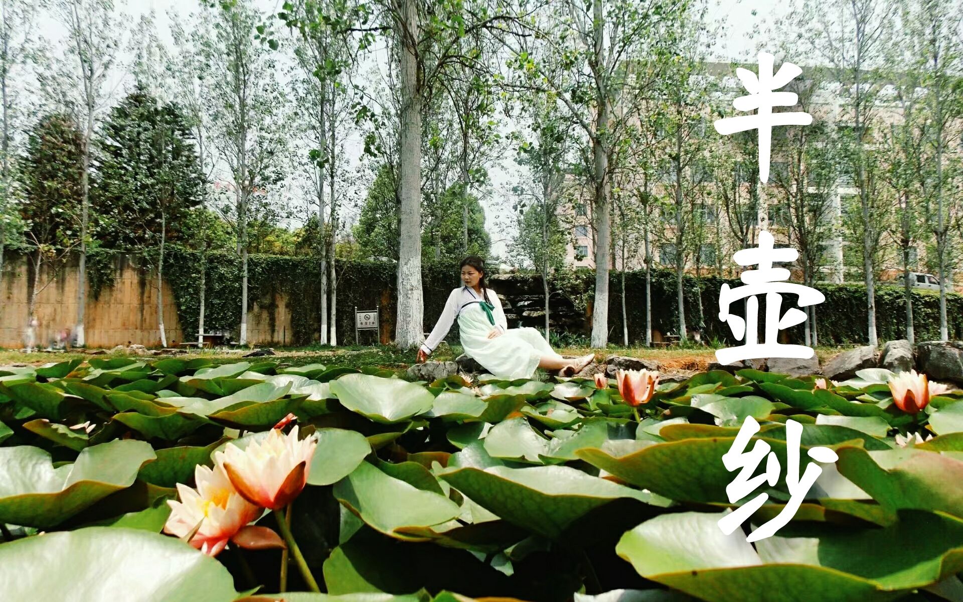 【蛮子】半壶纱--孙科 翻跳