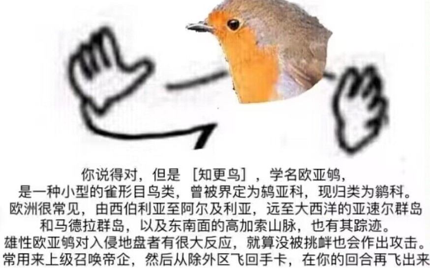 【随风飘飘游】参加非诚勿扰,随风旅鸟x帝企惨遭灭灯
