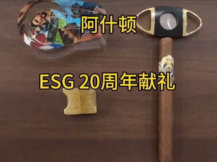 阿什顿ESG 20周年哔哩哔哩bilibili