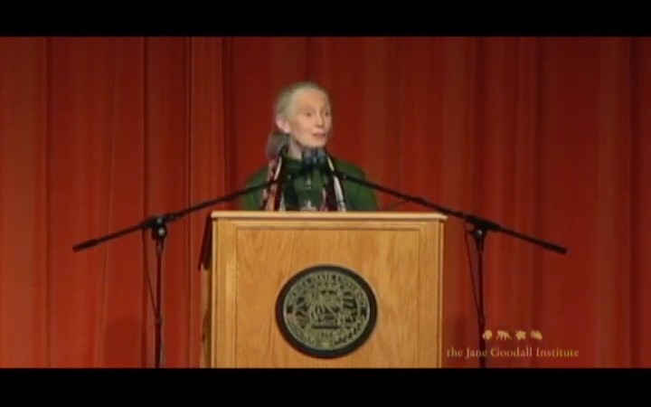 [图]【珍古道尔-黑猩猩的问候】Jane Goodall's Chimp Greeting