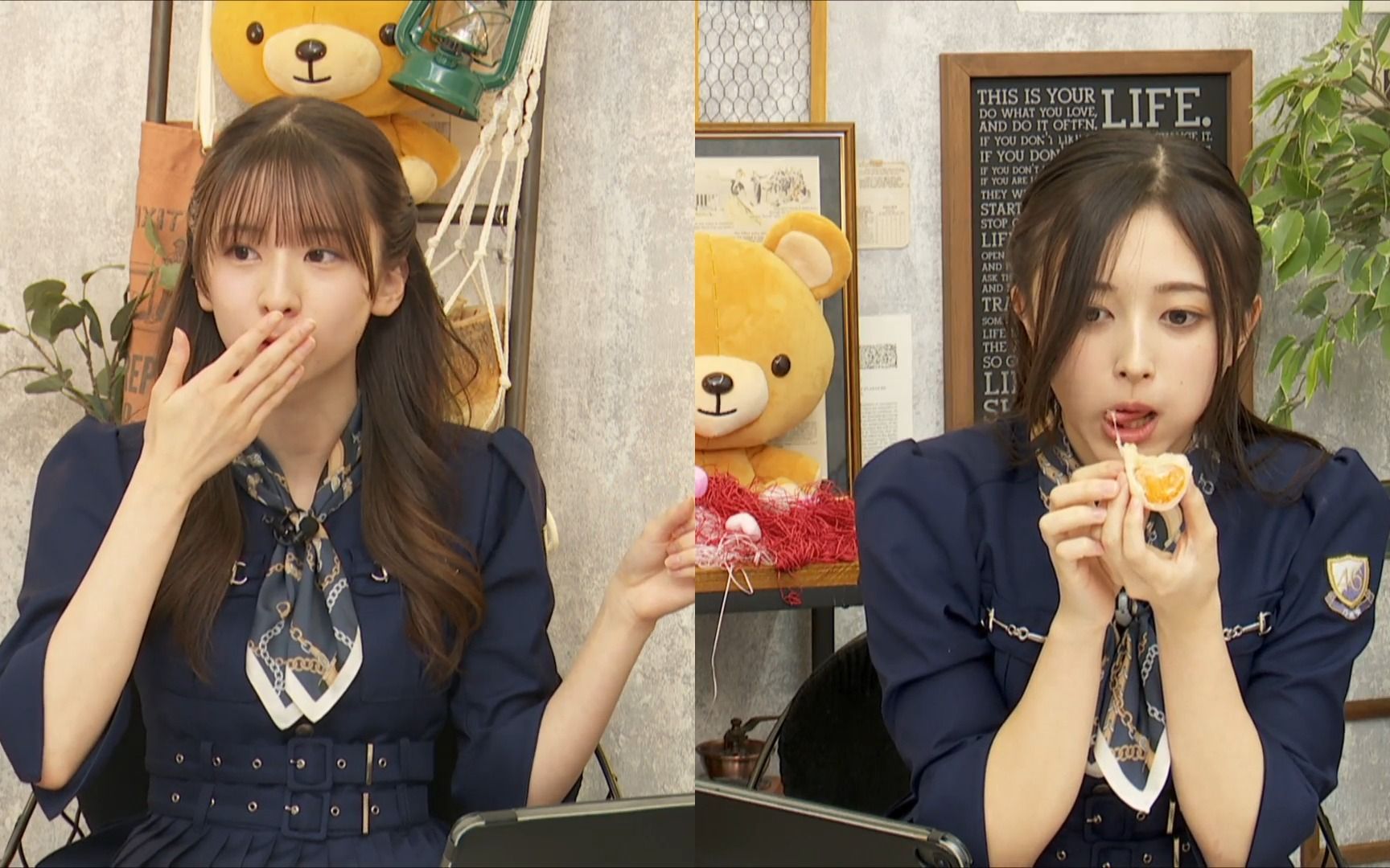 猫舌showroom『乃木坂46にゃんば1』nekojita (2023年03月29日18時49