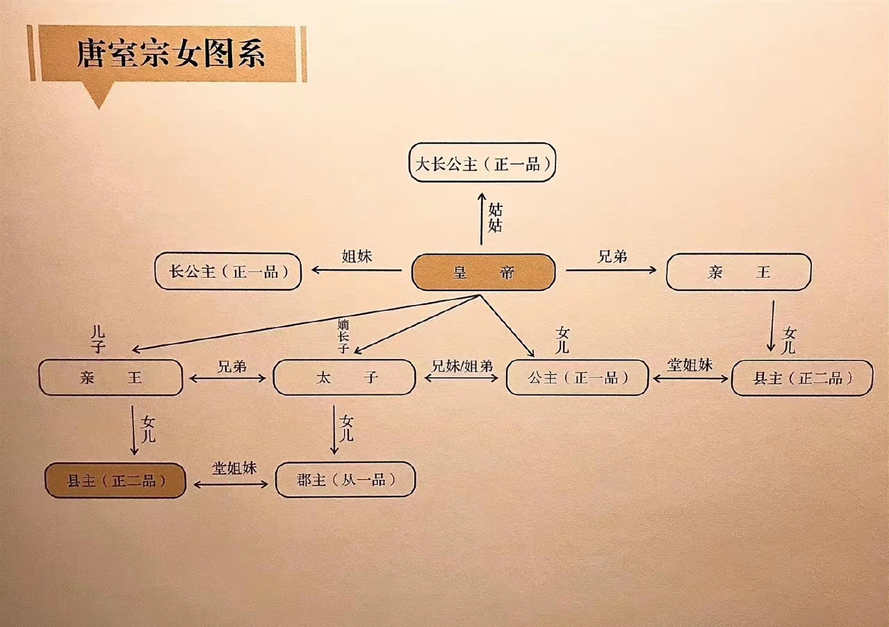 【大长公主、长公主、公主、郡主、县主】 哔哩哔哩bilibili