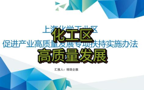 2024年上海化学工业区促进产业高质量发展专项扶持实施办法四哔哩哔哩bilibili