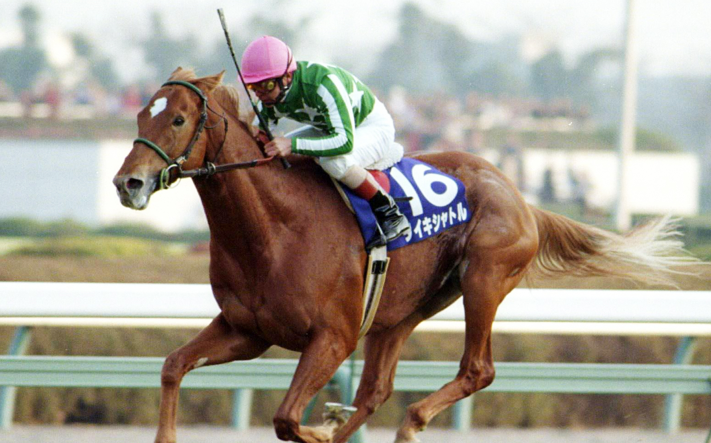 14 短途马锦标(gi) 【大树快车】_哔哩哔哩_bilibili