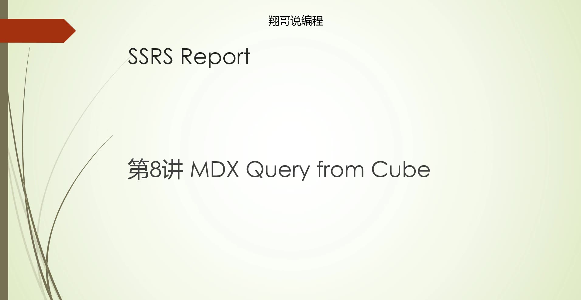 SSRS Report 第八讲 from Cube MDX query哔哩哔哩bilibili