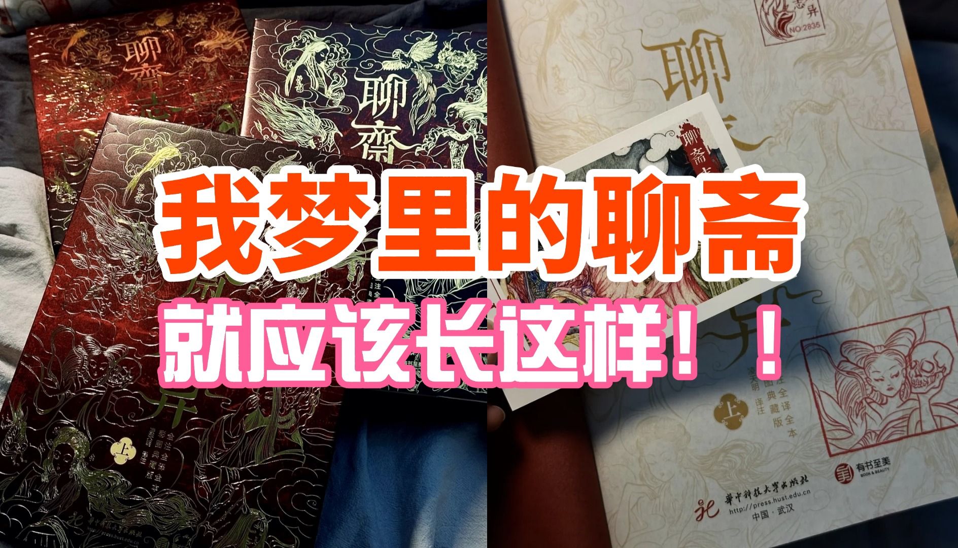 古代“弹幕版”《聊斋志异》,带你细品文言小说的精妙之处.哔哩哔哩bilibili