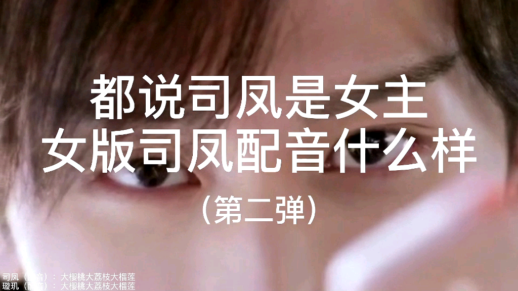 女版司凤配音二当然璇玑也是我啦琉璃夫妇配音